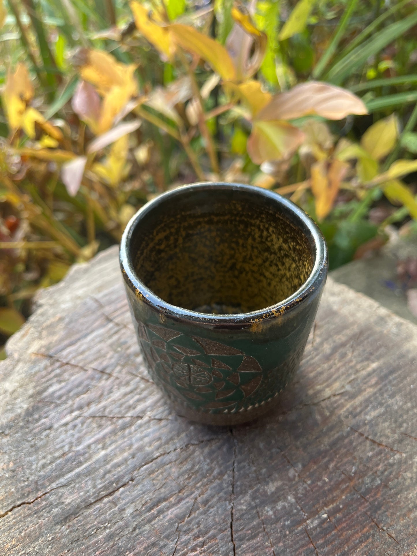 Green Star Field Tumbler