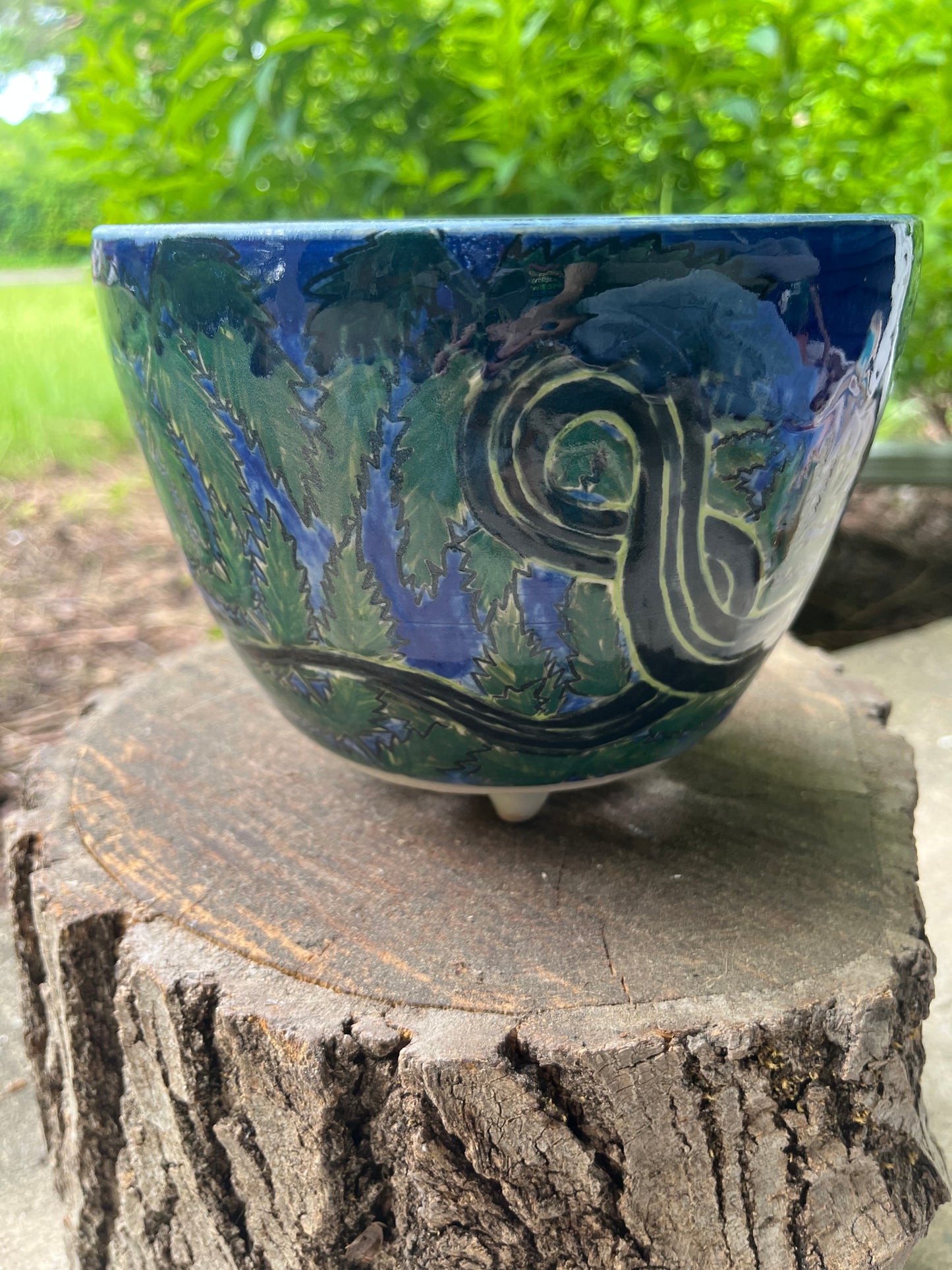 Snake in the Ferns planter