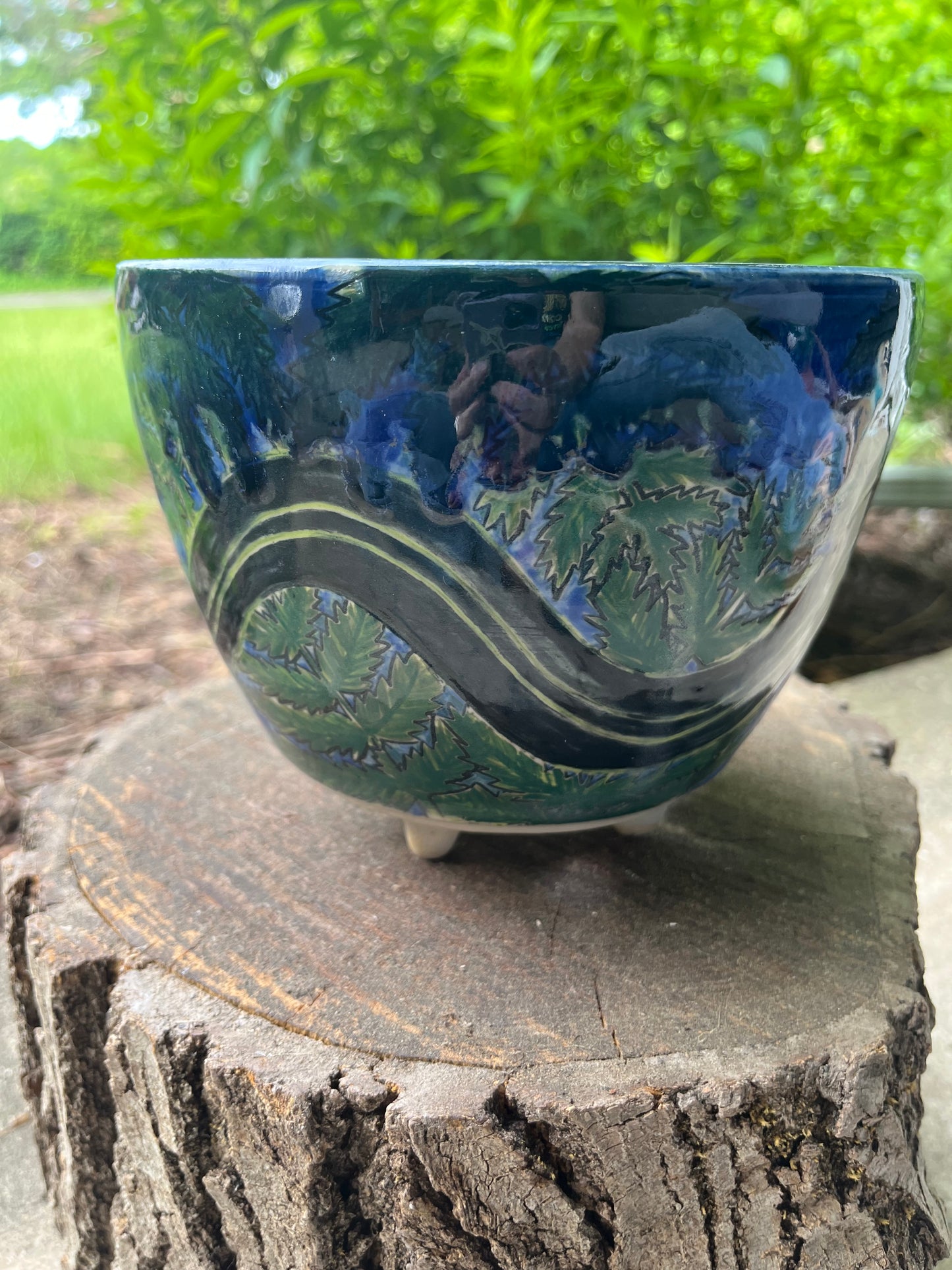 Snake in the Ferns planter