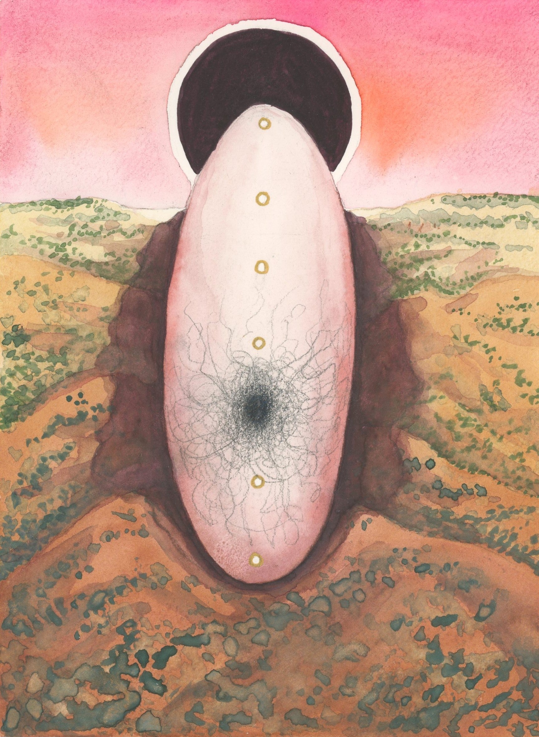 Pre-order wild little things tarot deck!