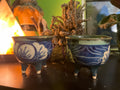 Lavender-Plant Medicine Cauldron