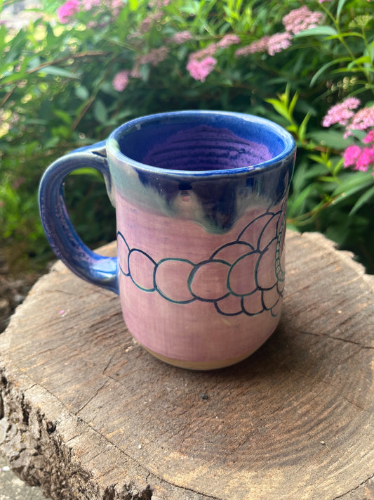 Evolution Mug-Sorbet