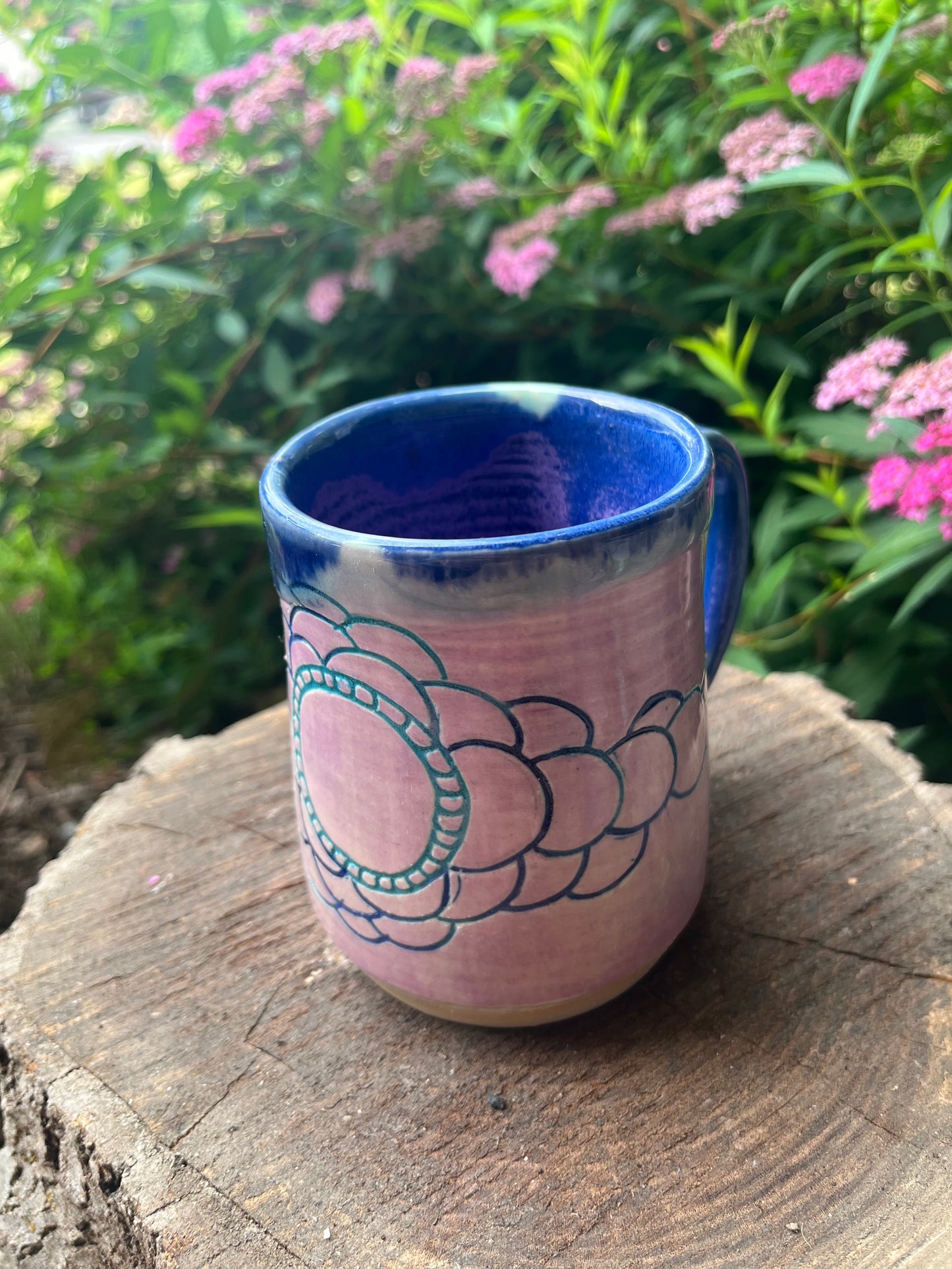 Evolution Mug-Sorbet