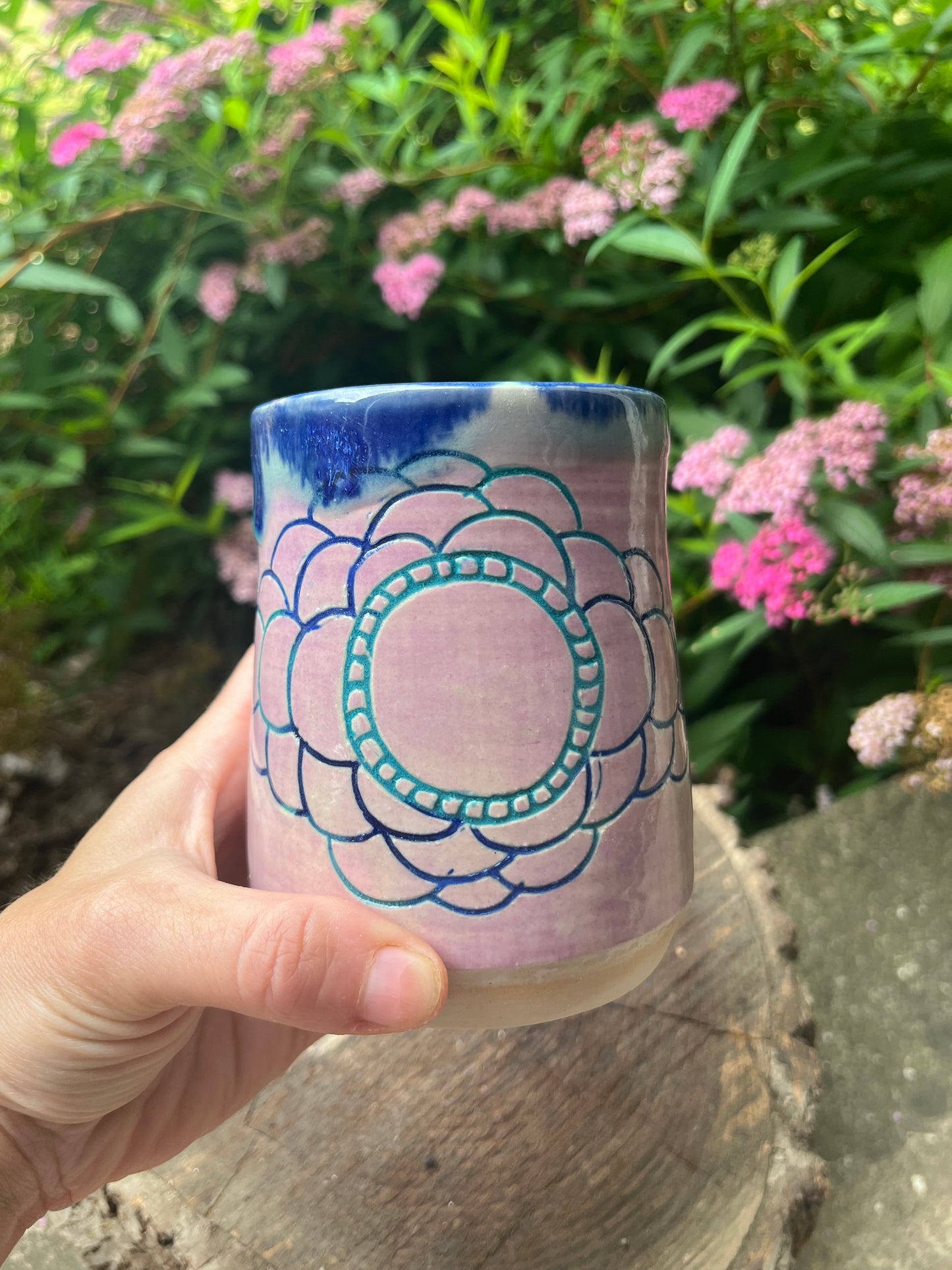Evolution Mug-Sorbet