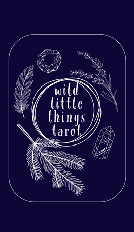 Pre-order wild little things tarot deck!